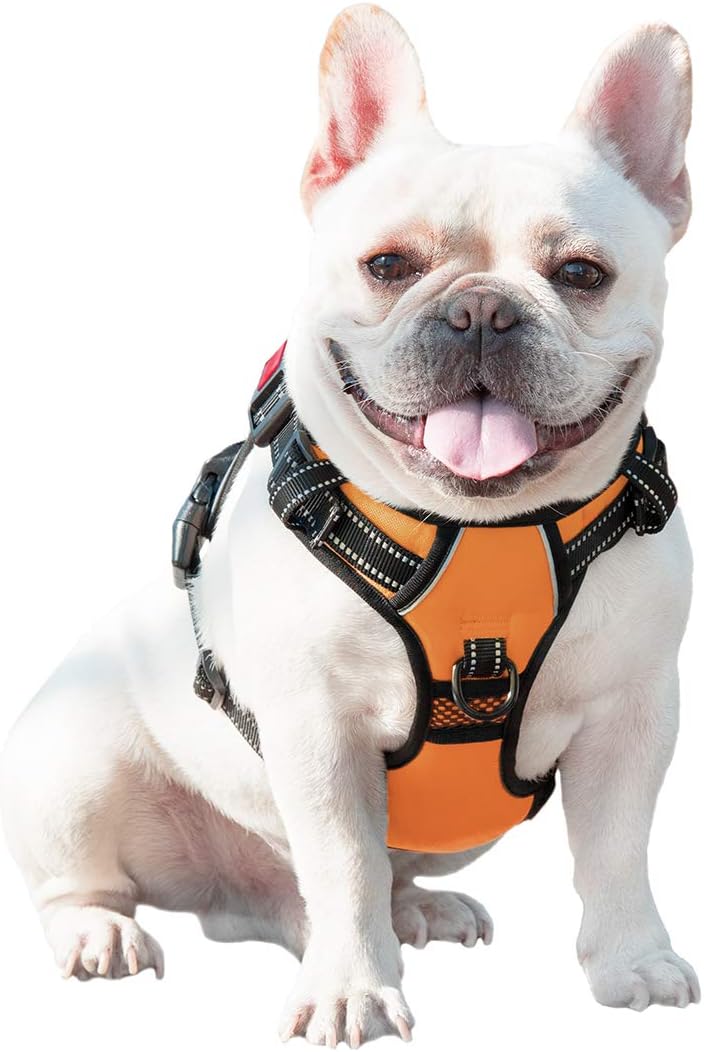 No Pull Dog Harness Medium Reflective Front Clip Vest with Handle | Adjustable 2 Metal Rings 3 Buckles,[Easy to Put on & Take Off](M, Orange)