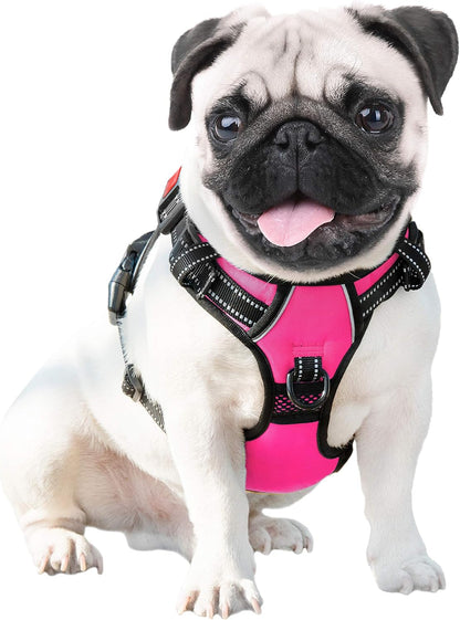 No Pull Dog Harness Medium Reflective Front Clip Vest with Handle | Adjustable 2 Metal Rings 3 Buckles,[Easy to Put on & Take Off](M, Orange)
