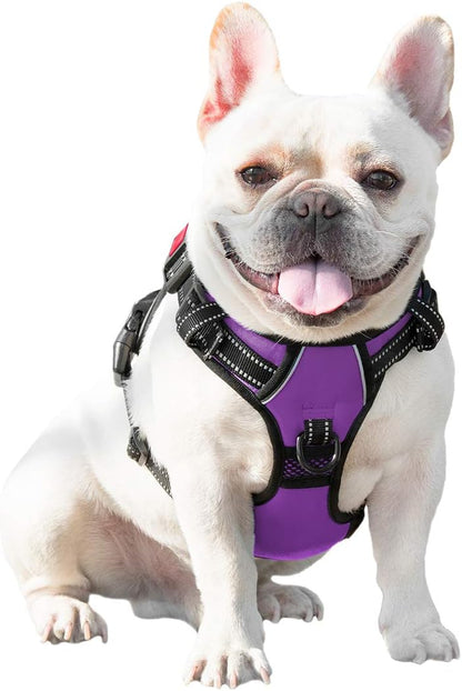 No Pull Dog Harness Medium Reflective Front Clip Vest with Handle | Adjustable 2 Metal Rings 3 Buckles,[Easy to Put on & Take Off](M, Orange)