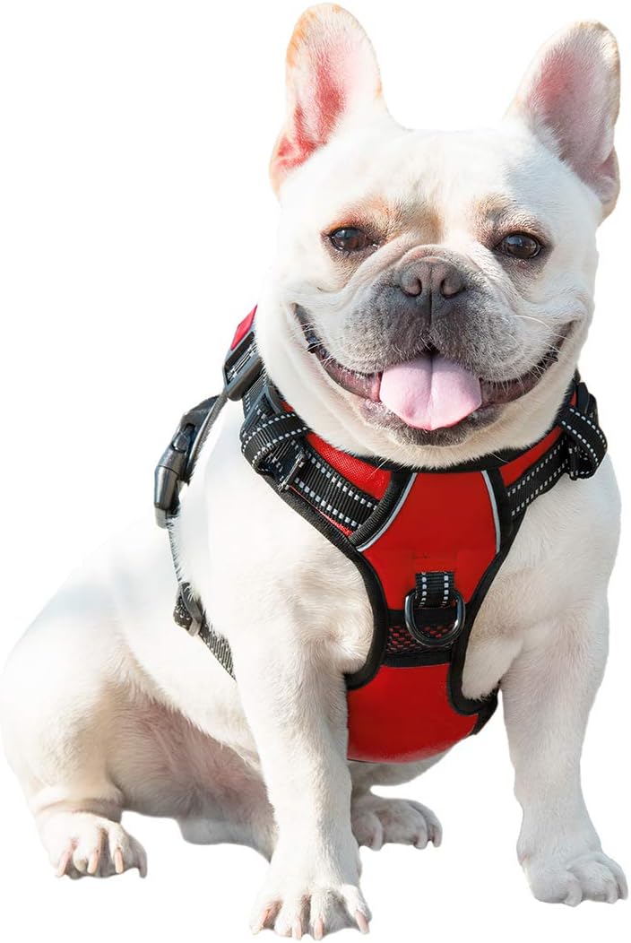 No Pull Dog Harness Medium Reflective Front Clip Vest with Handle | Adjustable 2 Metal Rings 3 Buckles,[Easy to Put on & Take Off](M, Orange)