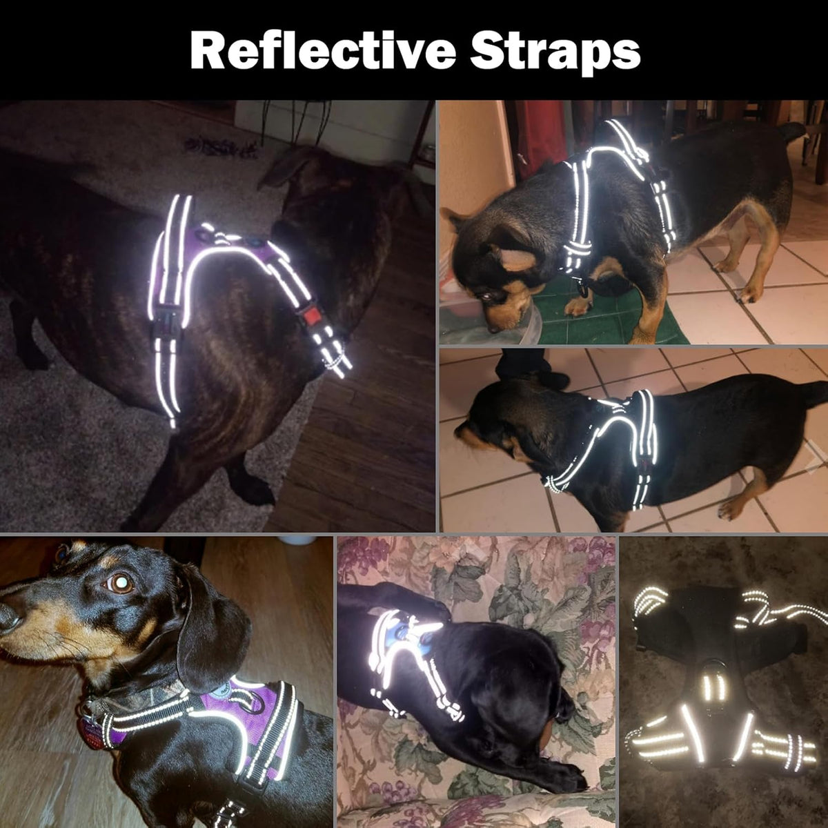 No Pull Dog Harness Medium Reflective Front Clip Vest with Handle | Adjustable 2 Metal Rings 3 Buckles,[Easy to Put on & Take Off](M, Orange)