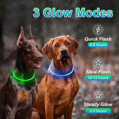 2 Packs Light Up Dog Collar, USB Rechargeable Dog Lights for Night