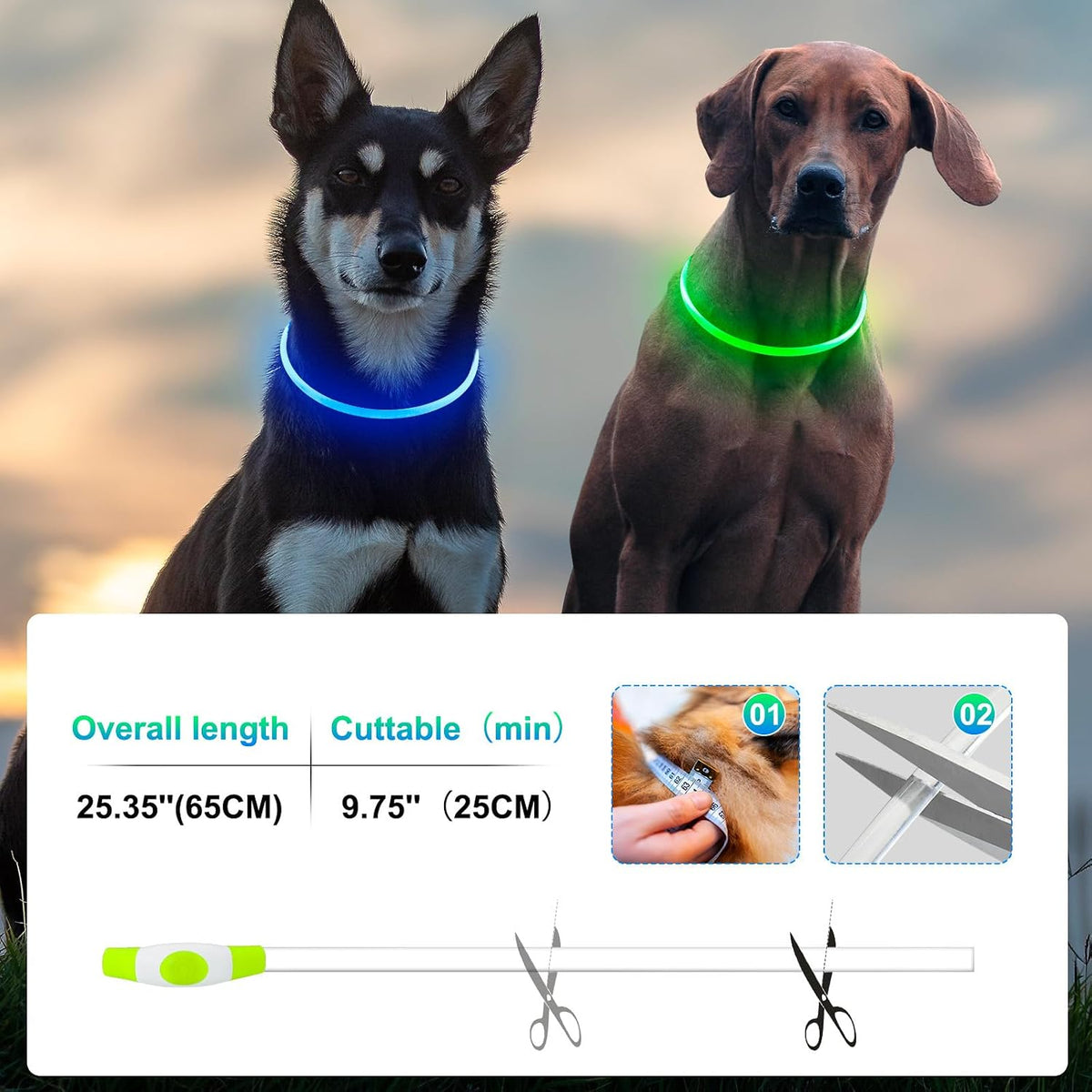2 Packs Light Up Dog Collar, USB Rechargeable Dog Lights for Night