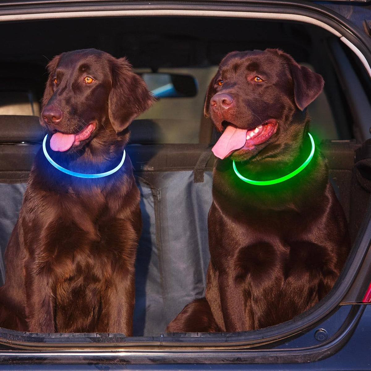 2 Packs Light Up Dog Collar, USB Rechargeable Dog Lights for Night