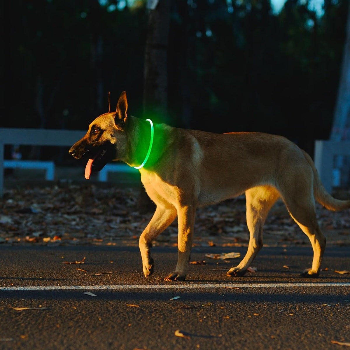 2 Packs Light Up Dog Collar, USB Rechargeable Dog Lights for Night
