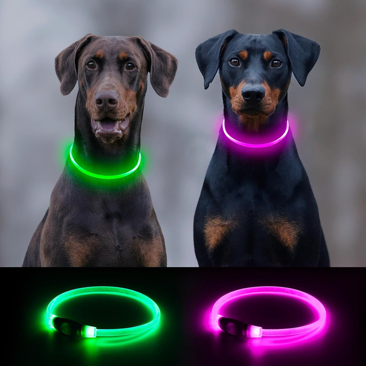2 Packs Light Up Dog Collar, USB Rechargeable Dog Lights for Night