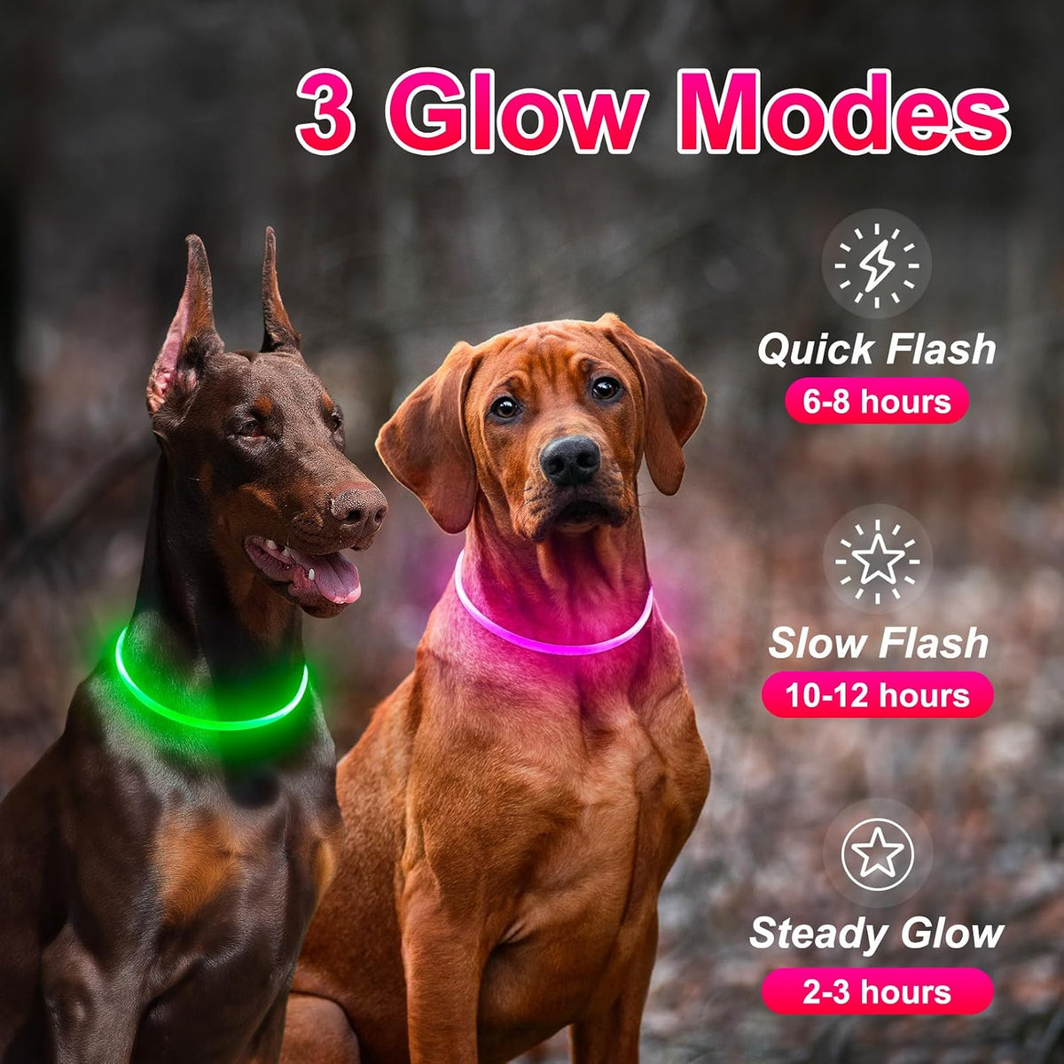 2 Packs Light Up Dog Collar, USB Rechargeable Dog Lights for Night