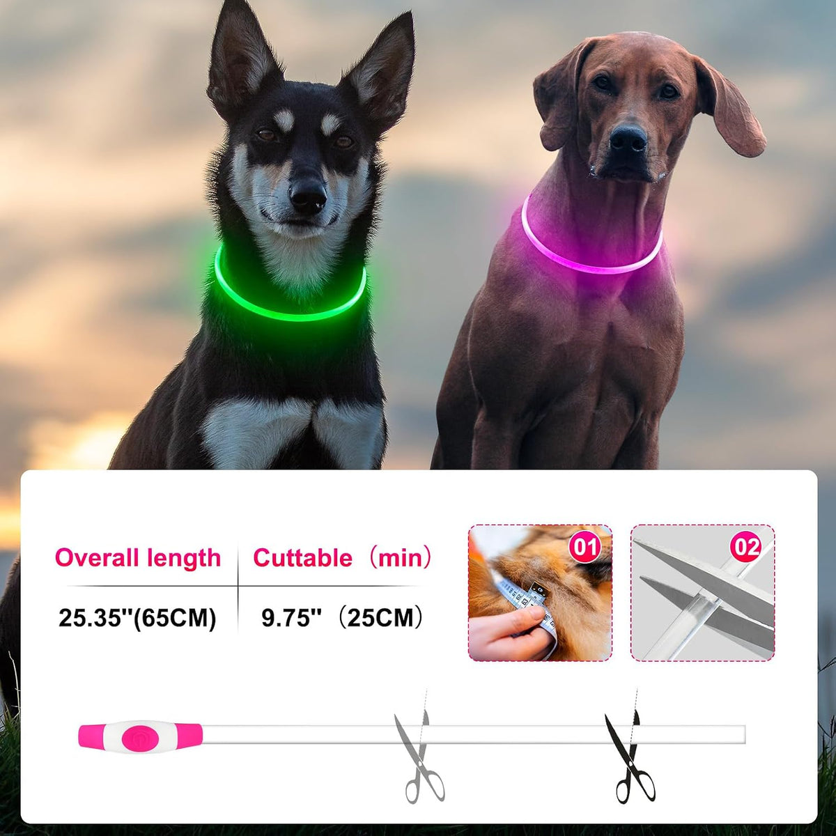 2 Packs Light Up Dog Collar, USB Rechargeable Dog Lights for Night