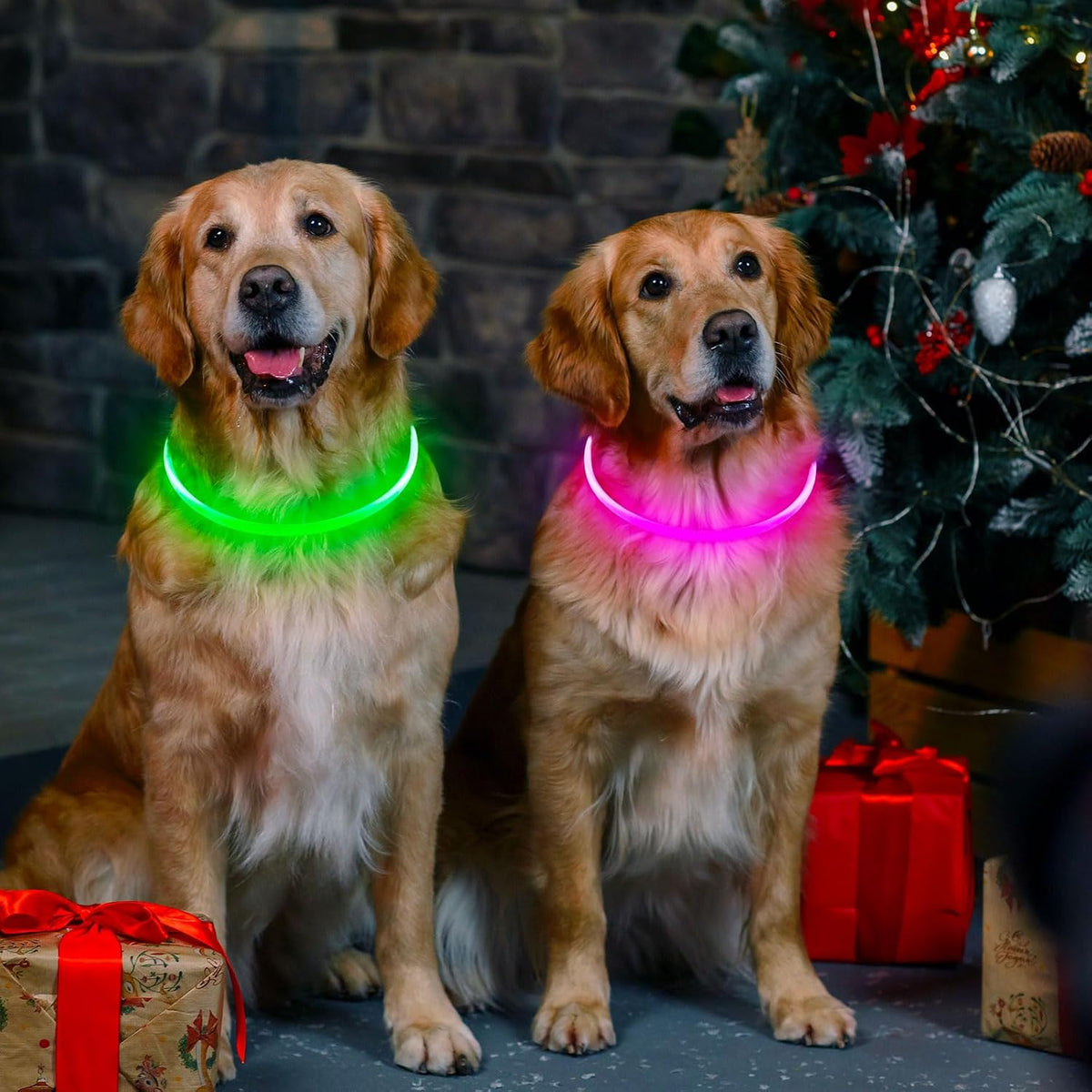 2 Packs Light Up Dog Collar, USB Rechargeable Dog Lights for Night