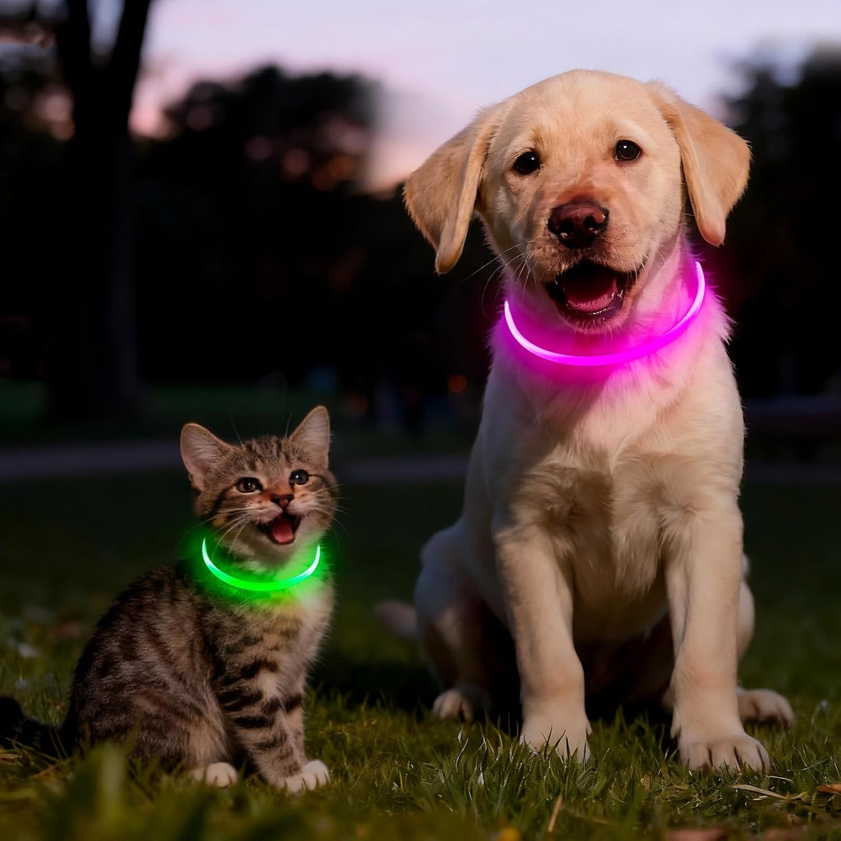 2 Packs Light Up Dog Collar, USB Rechargeable Dog Lights for Night