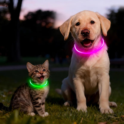 2 Packs Light Up Dog Collar, USB Rechargeable Dog Lights for Night