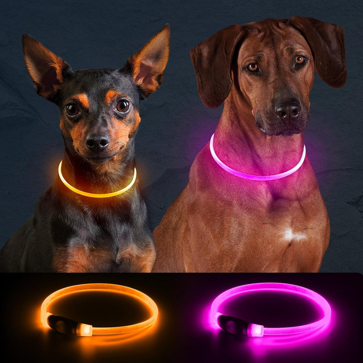 2 Packs Light Up Dog Collar, USB Rechargeable Dog Lights for Night