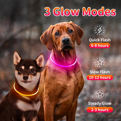 2 Packs Light Up Dog Collar, USB Rechargeable Dog Lights for Night