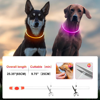 2 Packs Light Up Dog Collar, USB Rechargeable Dog Lights for Night