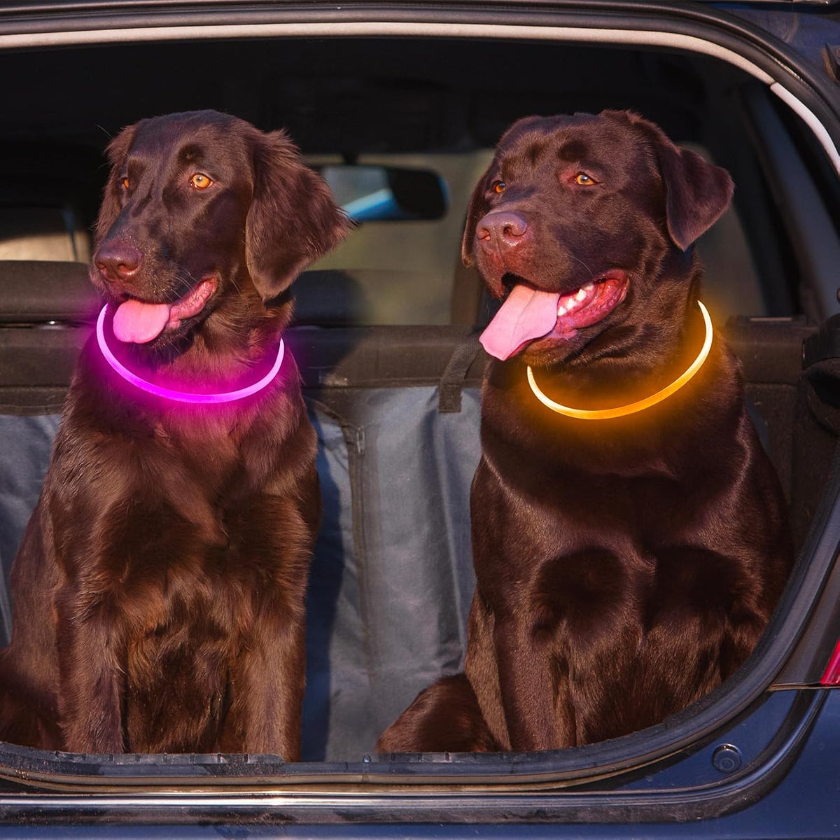2 Packs Light Up Dog Collar, USB Rechargeable Dog Lights for Night