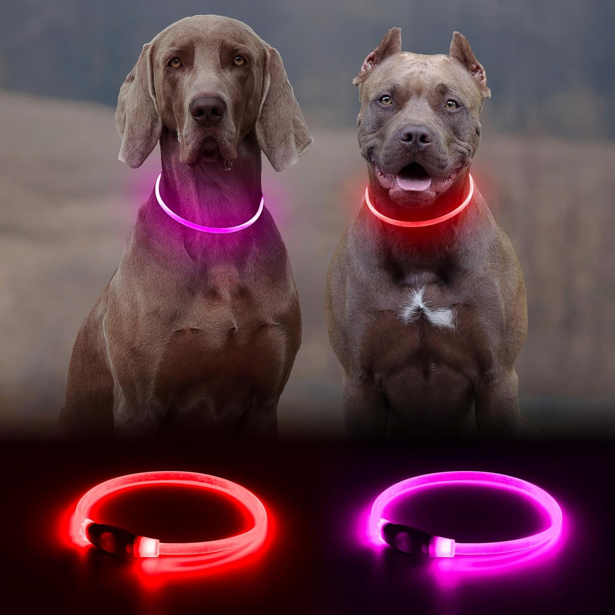 2 Packs Light Up Dog Collar, USB Rechargeable Dog Lights for Night