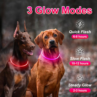 2 Packs Light Up Dog Collar, USB Rechargeable Dog Lights for Night