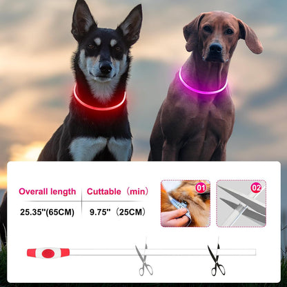 2 Packs Light Up Dog Collar, USB Rechargeable Dog Lights for Night