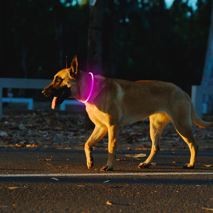 2 Packs Light Up Dog Collar, USB Rechargeable Dog Lights for Night