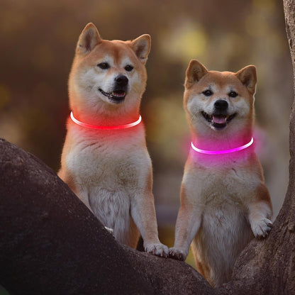 2 Packs Light Up Dog Collar, USB Rechargeable Dog Lights for Night