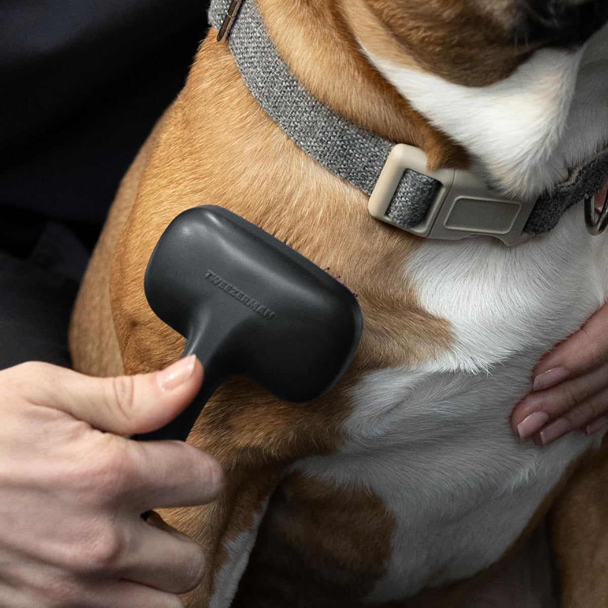 Slicker Brush for Pets-Grooming Brush with Coated Bristles
