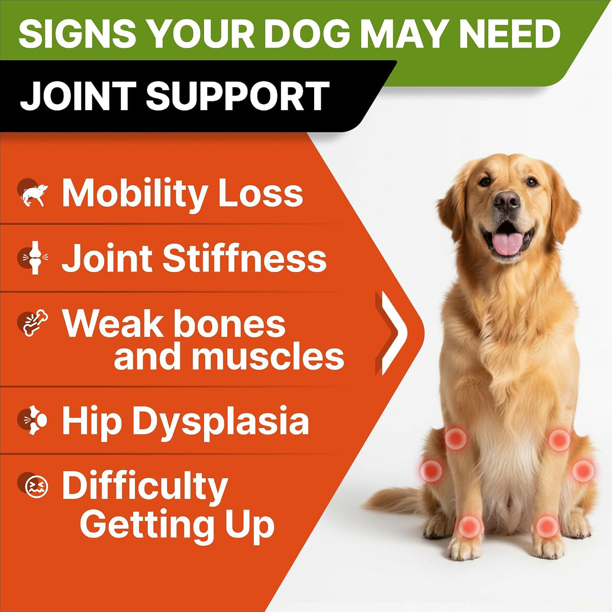 Advanced Glucosamine for Dogs, Chondroitin MSM Joint Supplement