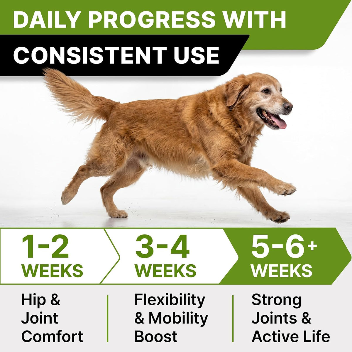 Advanced Glucosamine for Dogs, Chondroitin MSM Joint Supplement