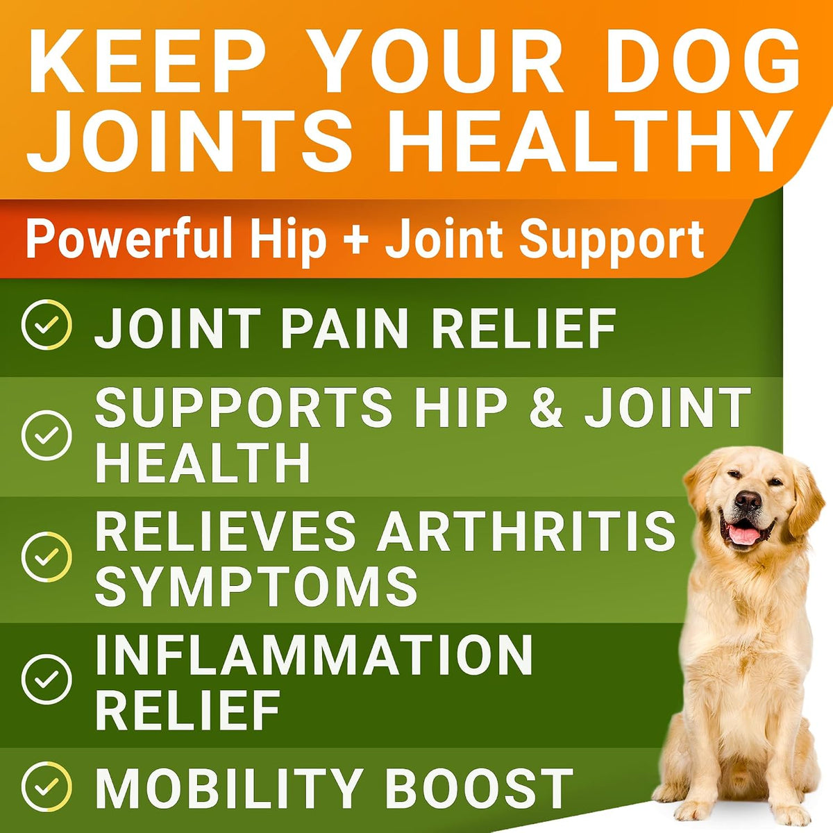Advanced Glucosamine for Dogs, Chondroitin MSM Joint Supplement