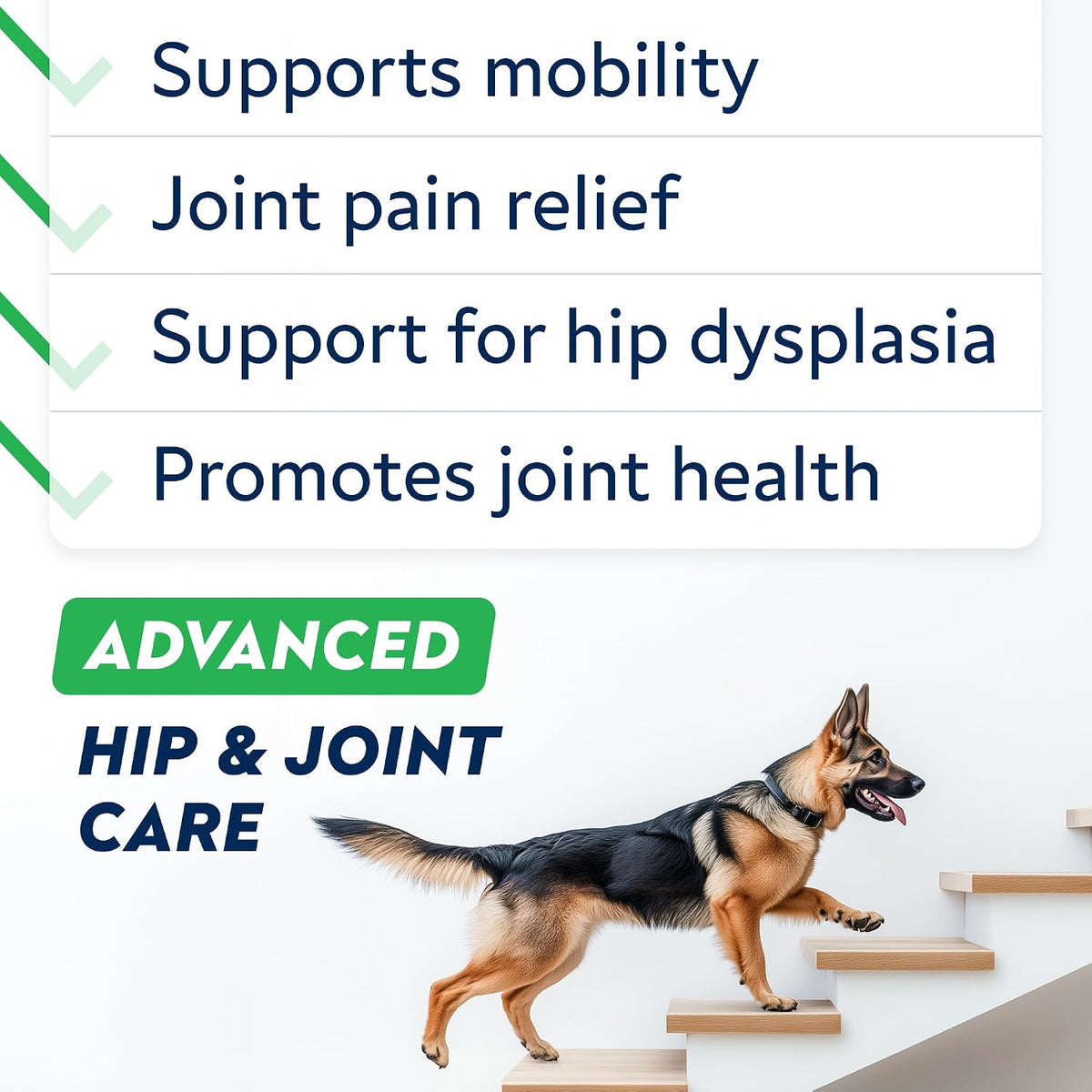 Advanced Glucosamine for Dogs, Chondroitin MSM Joint Supplement