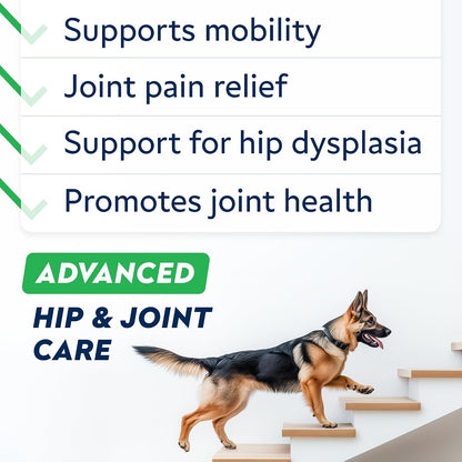 Advanced Glucosamine for Dogs, Chondroitin MSM Joint Supplement