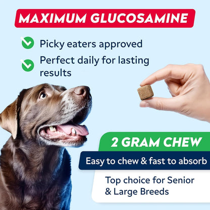 Advanced Glucosamine for Dogs, Chondroitin MSM Joint Supplement