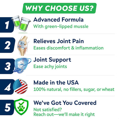 Advanced Glucosamine for Dogs, Chondroitin MSM Joint Supplement