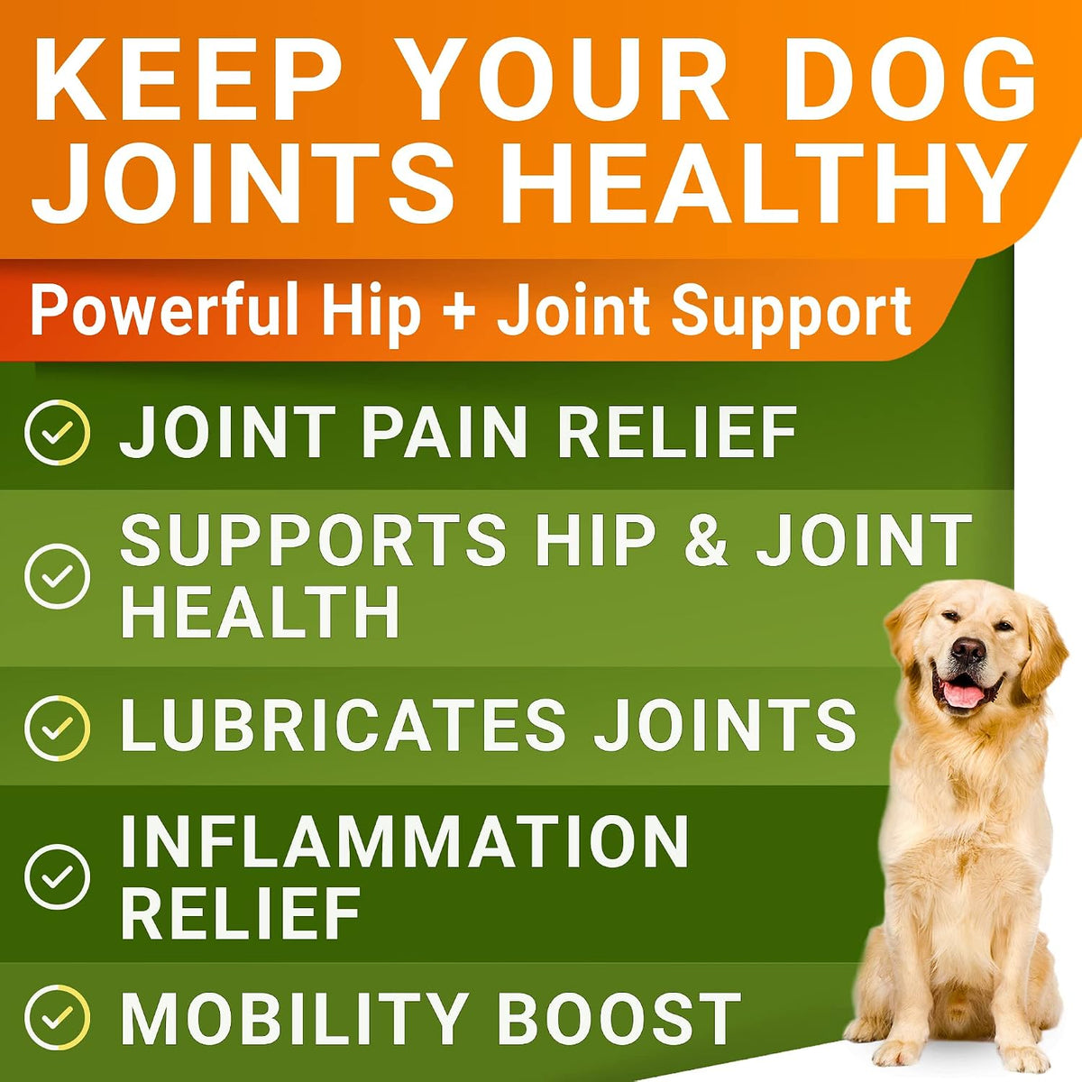 Advanced Glucosamine for Dogs, Chondroitin MSM Joint Supplement