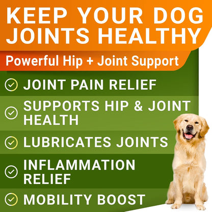 Advanced Glucosamine for Dogs, Chondroitin MSM Joint Supplement