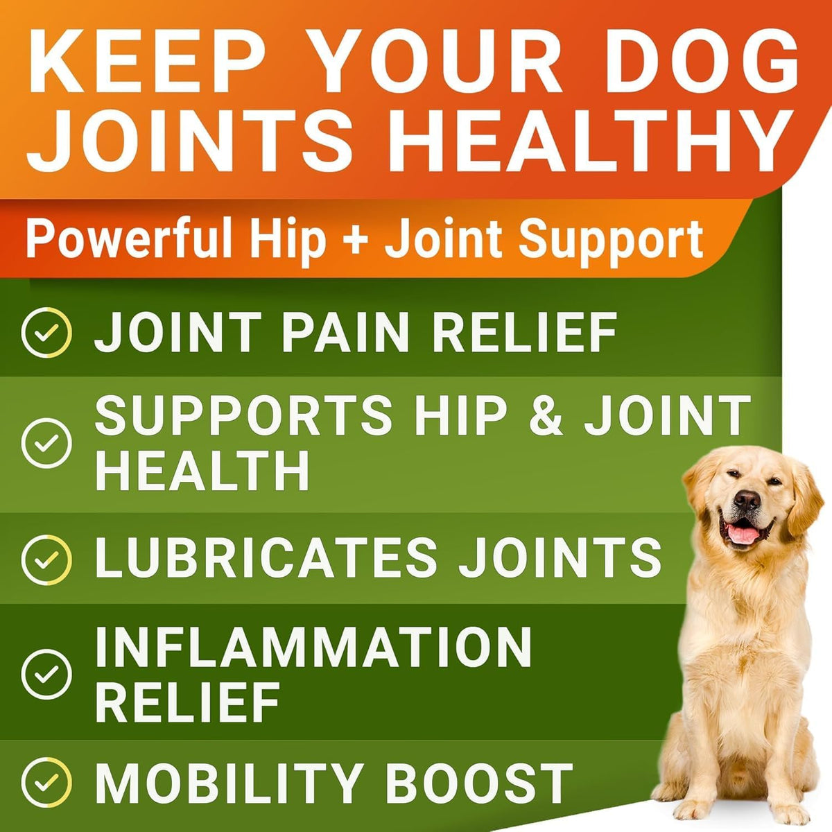 Advanced Glucosamine for Dogs, Chondroitin MSM Joint Supplement