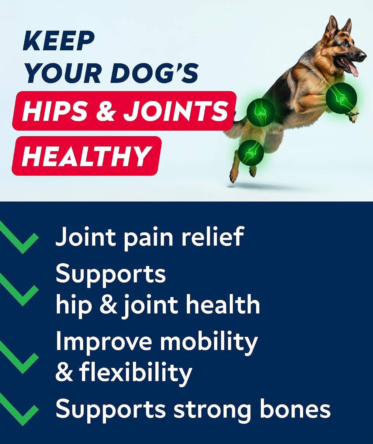 Advanced Glucosamine for Dogs, Chondroitin MSM Joint Supplement