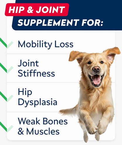 Advanced Glucosamine for Dogs, Chondroitin MSM Joint Supplement