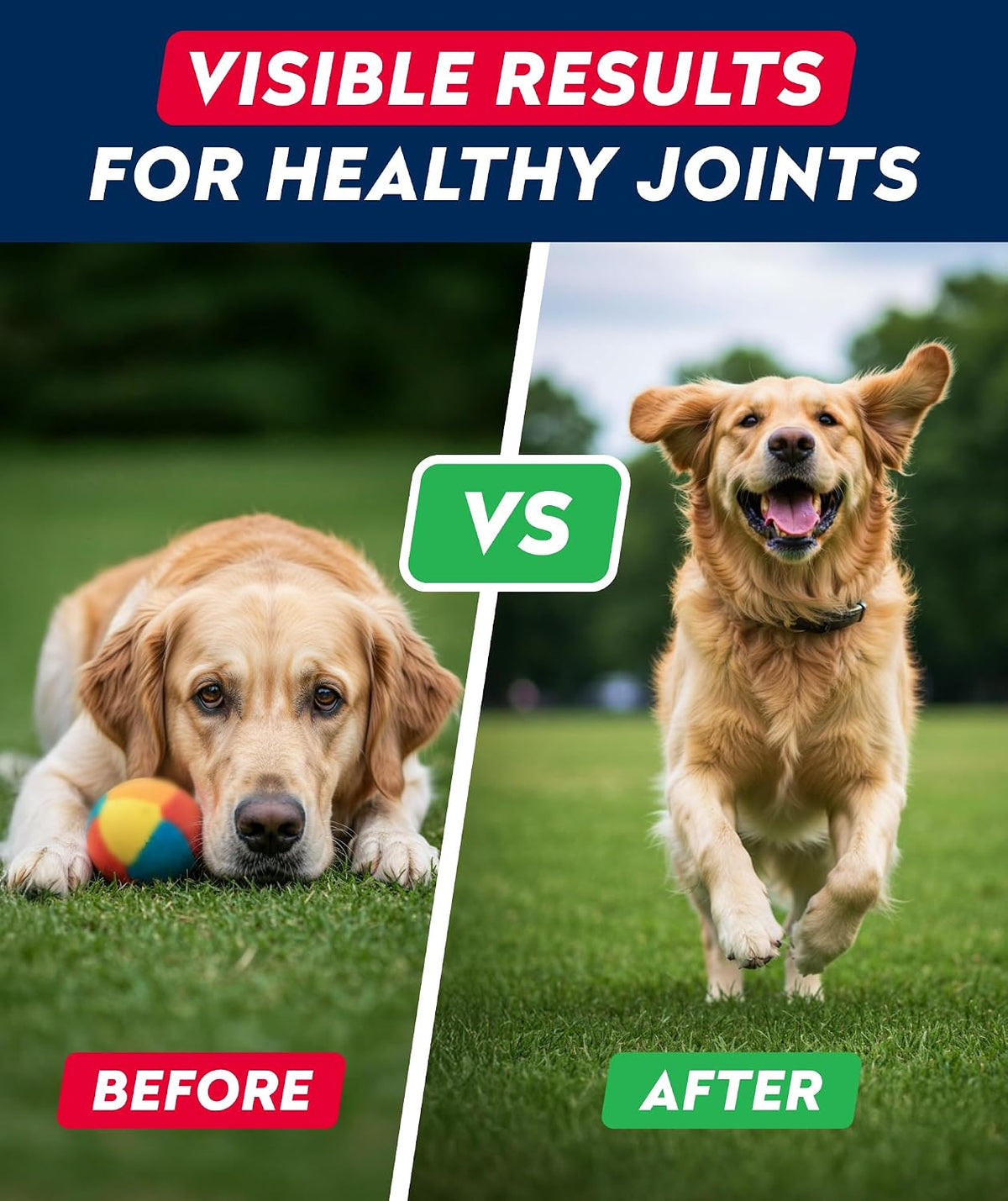 Advanced Glucosamine for Dogs, Chondroitin MSM Joint Supplement