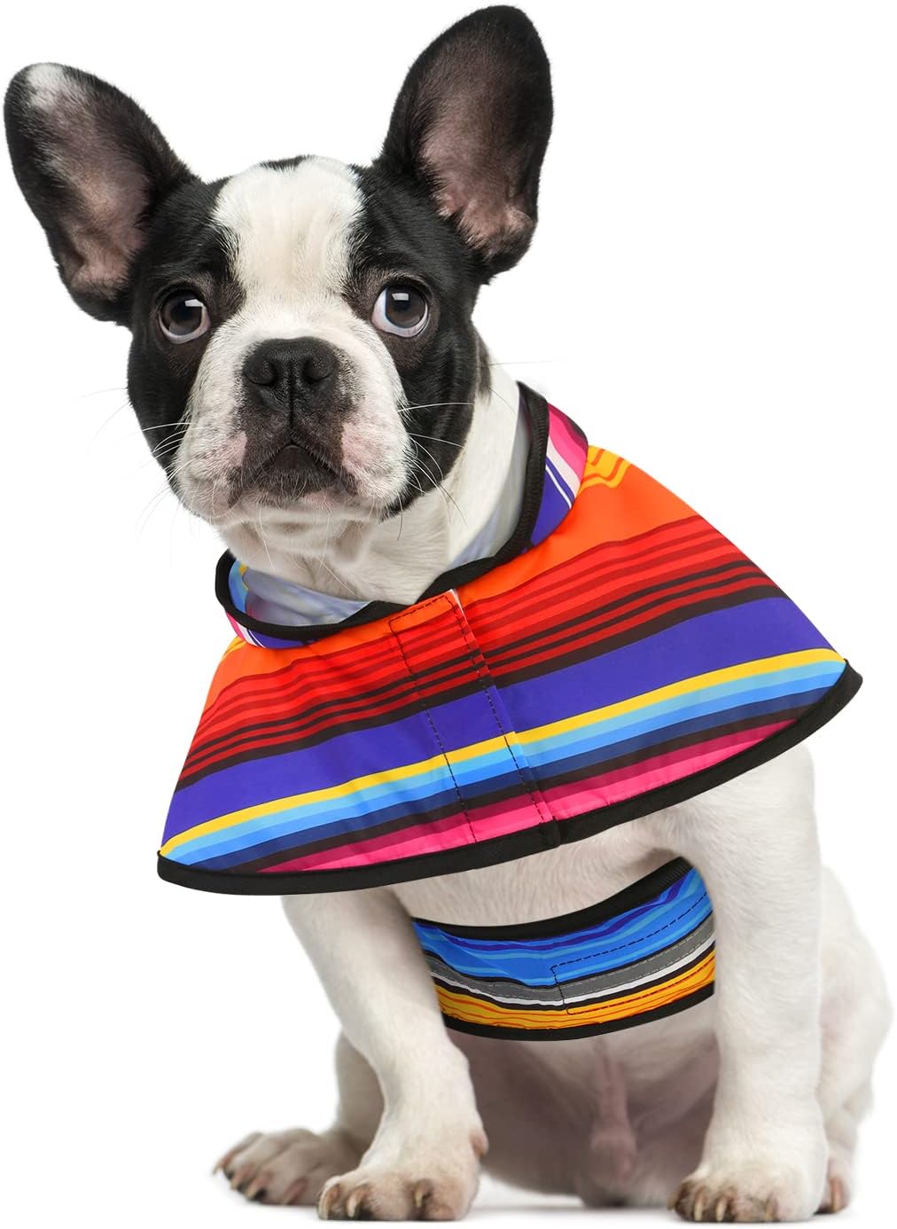 Dog Raincoat with Hood & Leash Hole S-XL Dog Rain Jacket Ducks M