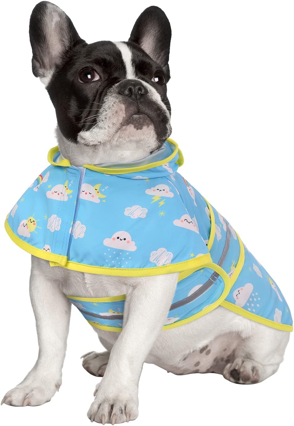 Dog Raincoat with Hood & Leash Hole S-XL Dog Rain Jacket Ducks M