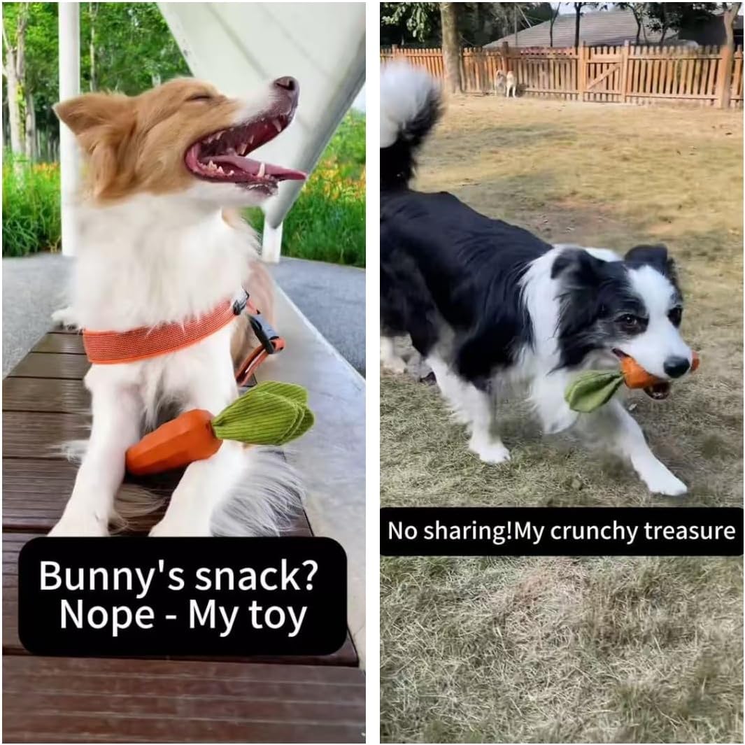 Dog Chew Toys for Aggressive Chewers, Rubber Squeaky Dog Toys