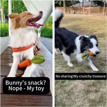 Dog Chew Toys for Aggressive Chewers, Rubber Squeaky Dog Toys