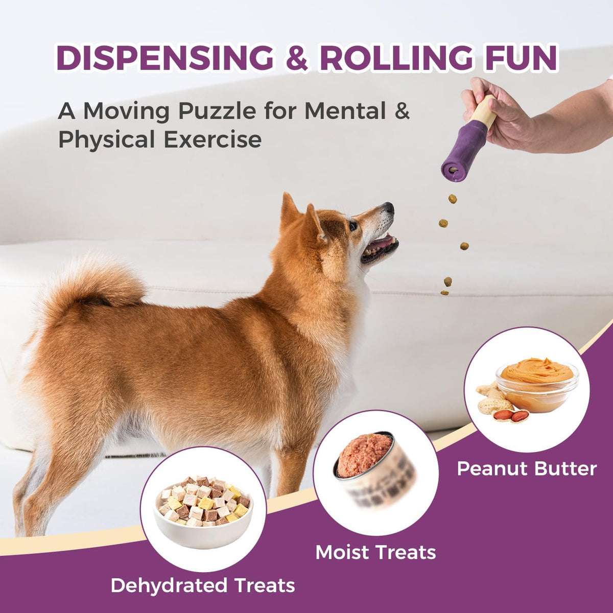 Dog Chew Toys for Aggressive Chewers, Rubber Squeaky Dog Toys