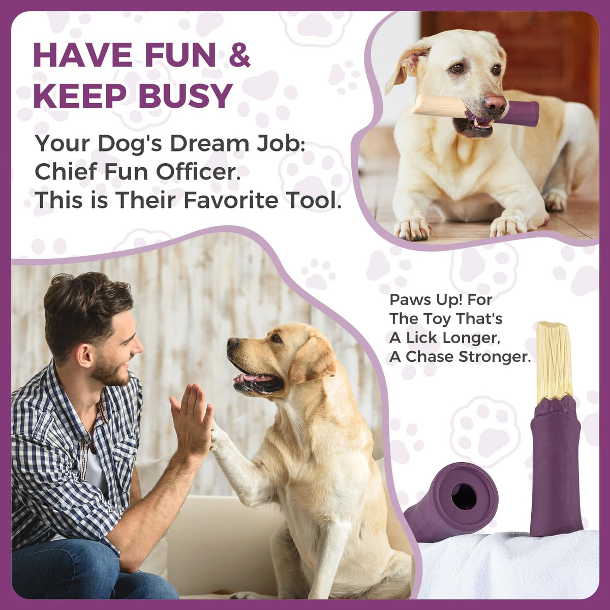 Dog Chew Toys for Aggressive Chewers, Rubber Squeaky Dog Toys