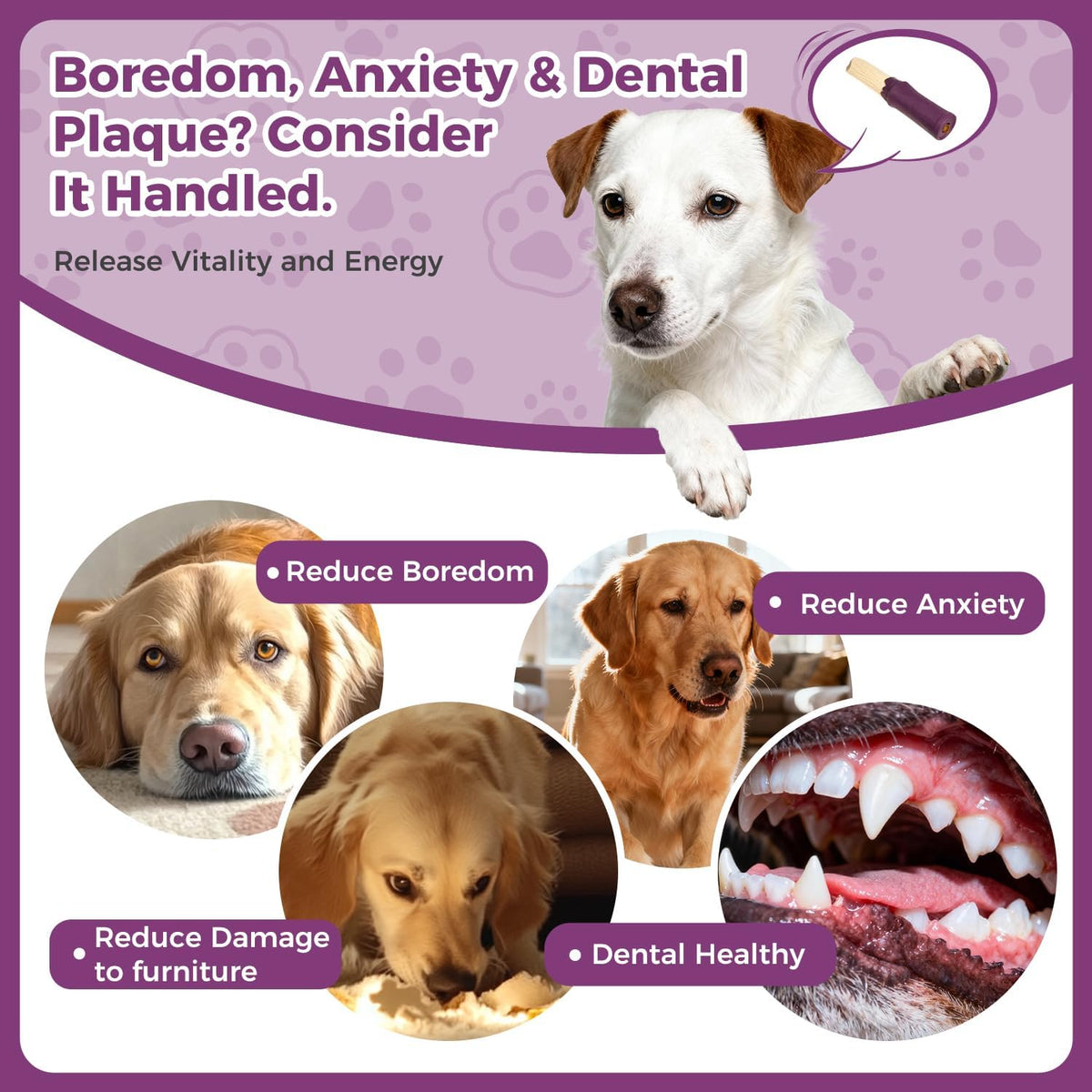 Dog Chew Toys for Aggressive Chewers, Rubber Squeaky Dog Toys