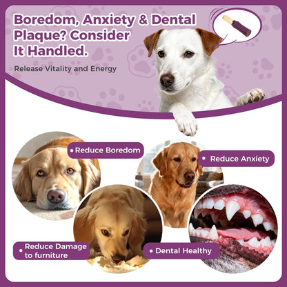Dog Chew Toys for Aggressive Chewers, Rubber Squeaky Dog Toys