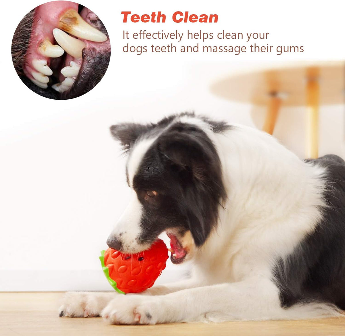 Dog Chew Toys for Aggressive Chewers, Rubber Squeaky Dog Toys