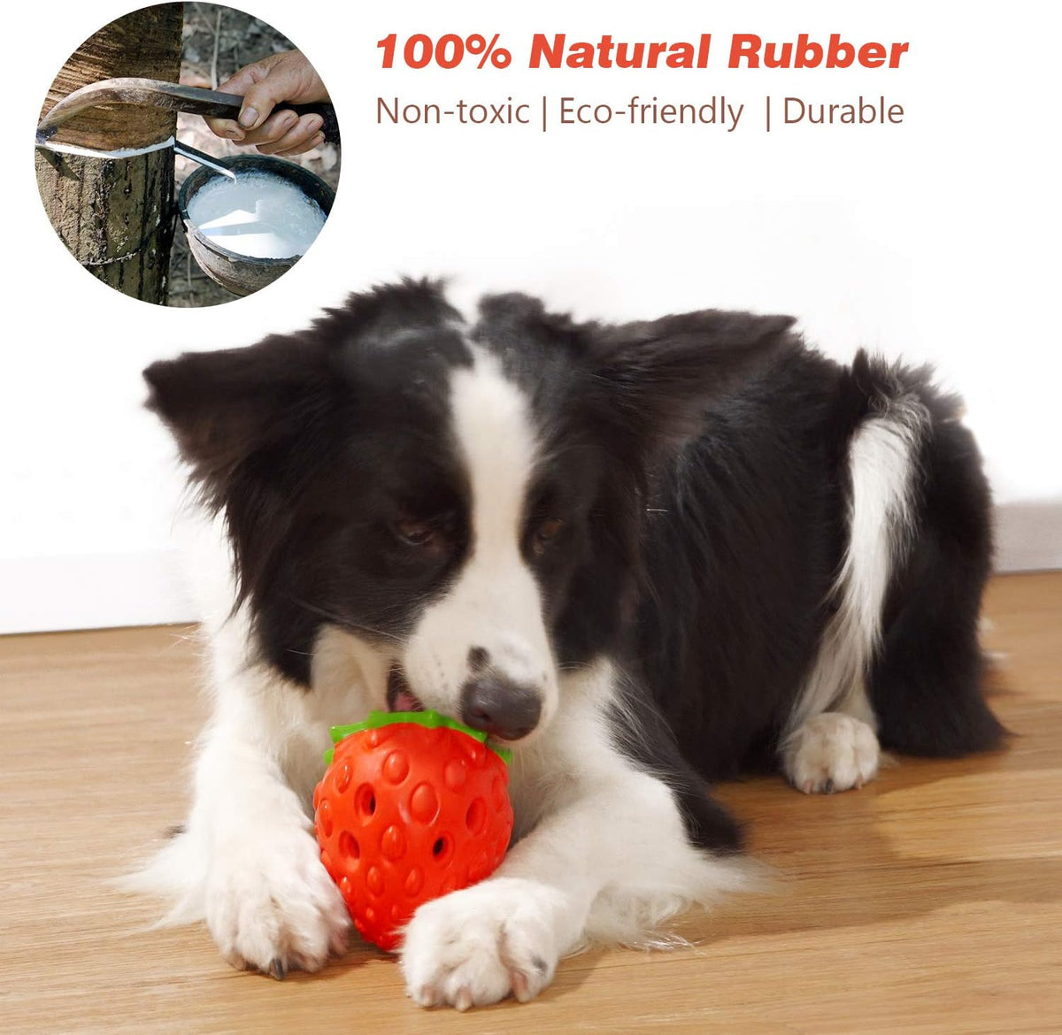Dog Chew Toys for Aggressive Chewers, Rubber Squeaky Dog Toys