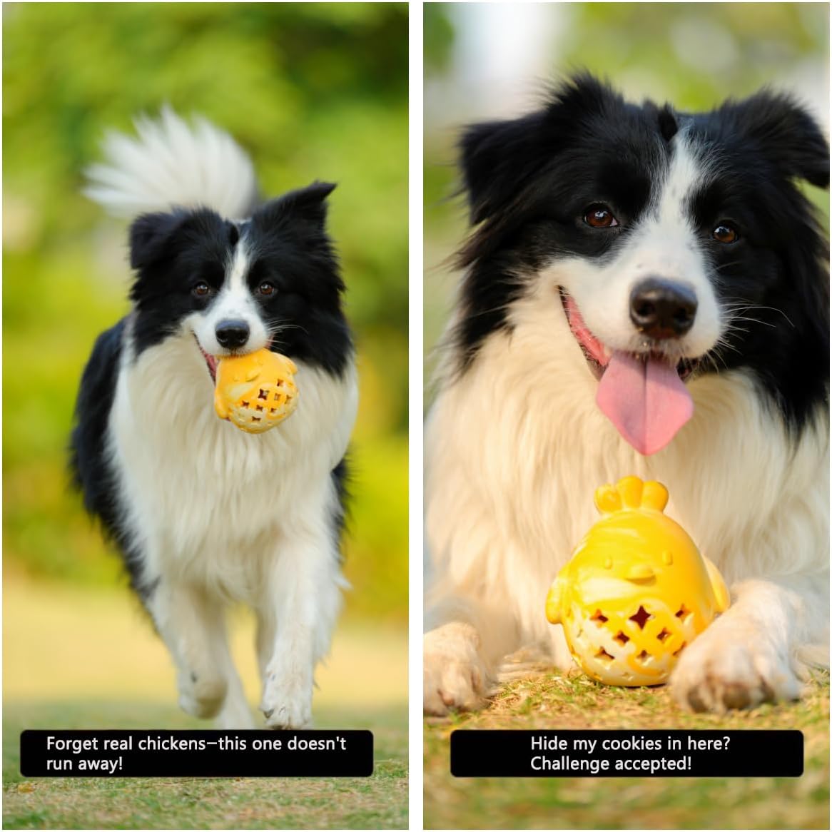 Dog Chew Toys for Aggressive Chewers, Rubber Squeaky Dog Toys