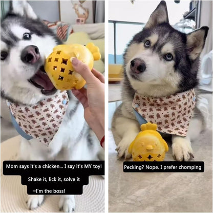 Dog Chew Toys for Aggressive Chewers, Rubber Squeaky Dog Toys